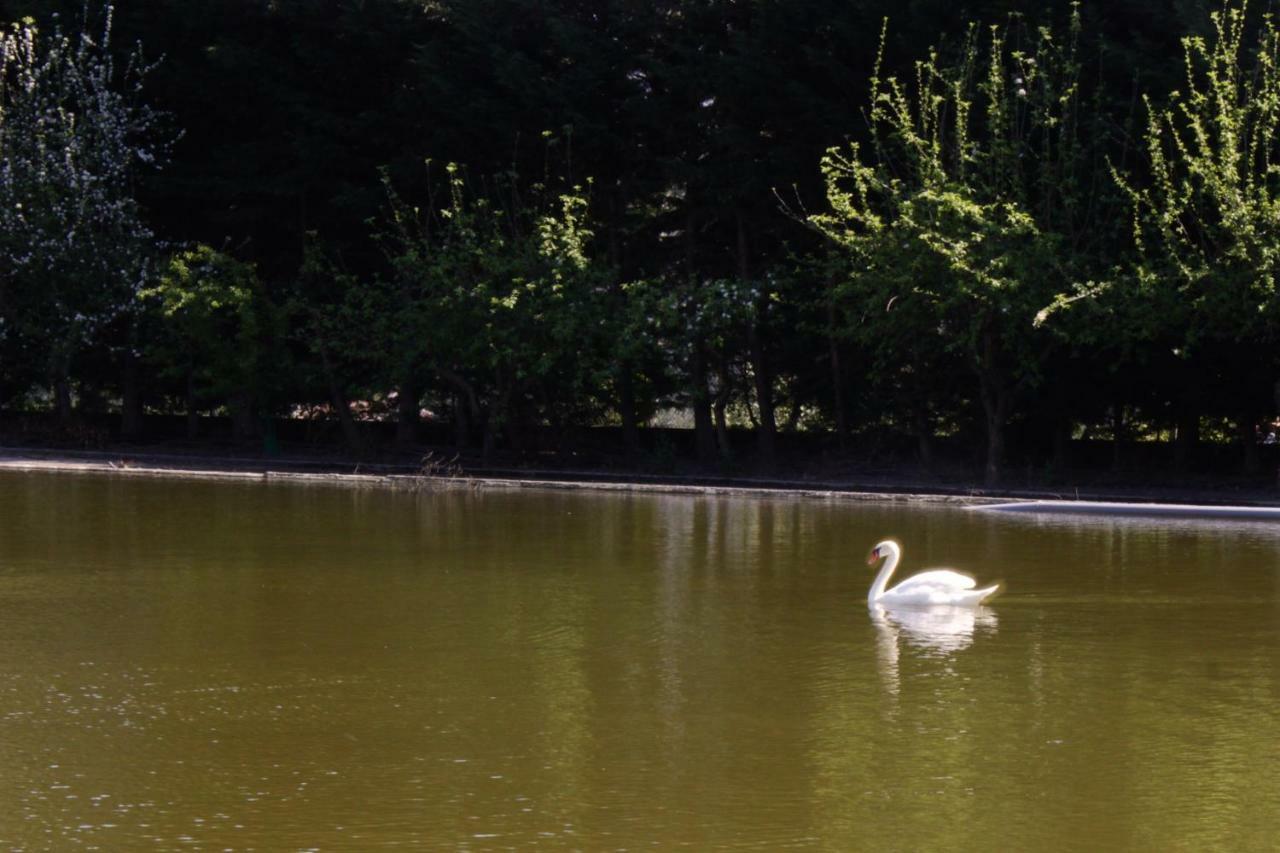 Casa Do Lago Amares Zewnętrze zdjęcie